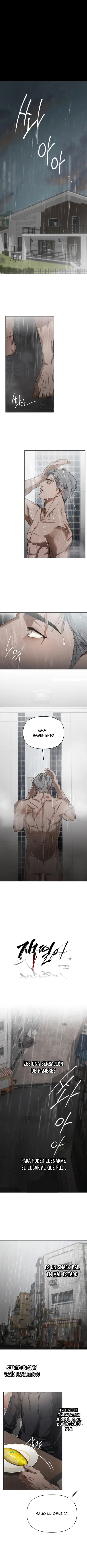 6 Recolector de cenizas