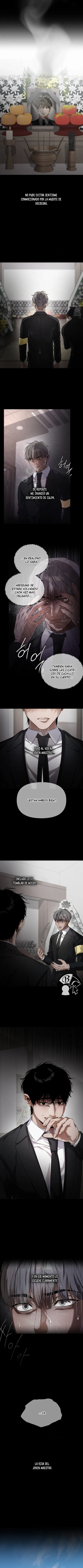 9 Recolector de cenizas