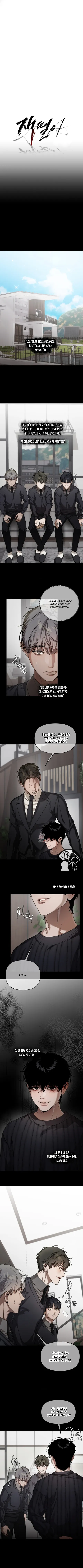 6 Recolector de cenizas