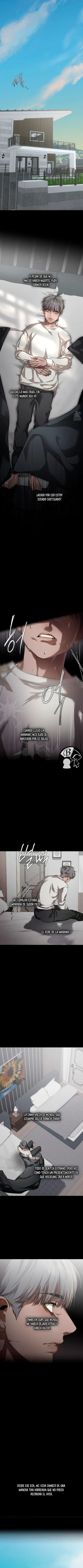 10 Recolector de cenizas