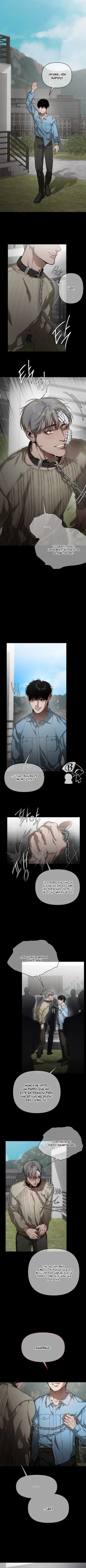 11 Recolector de cenizas