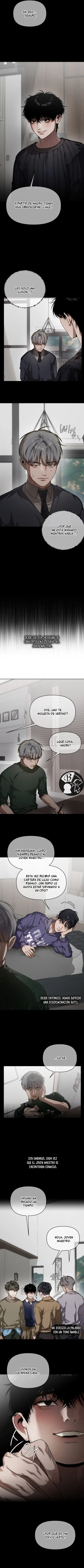 7 Recolector de cenizas