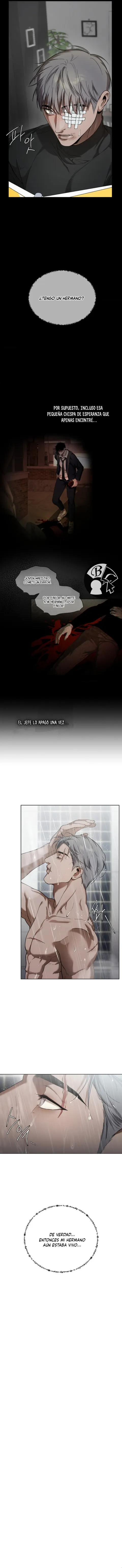 14 Recolector de cenizas