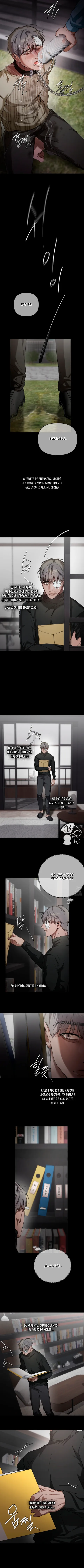 13 Recolector de cenizas