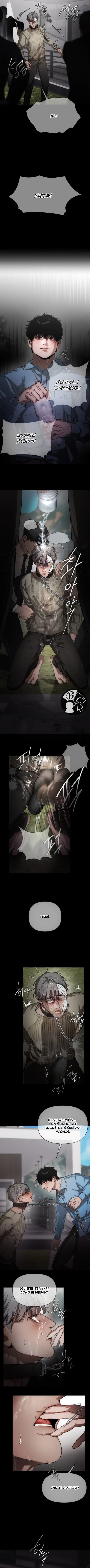 12 Recolector de cenizas