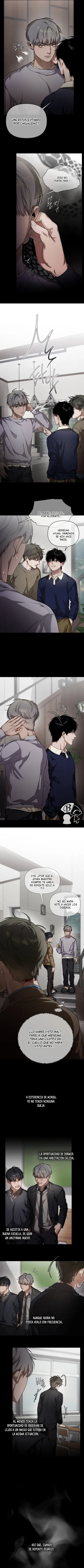 8 Recolector de cenizas