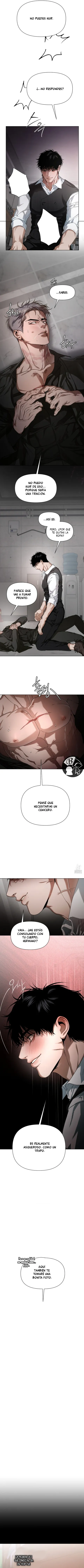 12 Recolector de cenizas