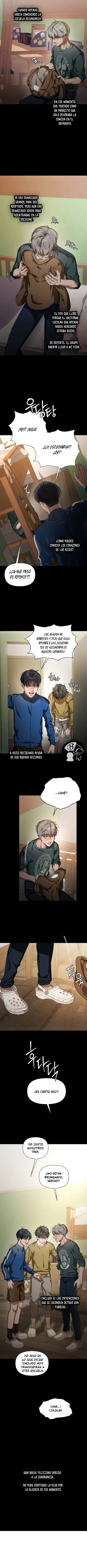 13 Recolector de cenizas