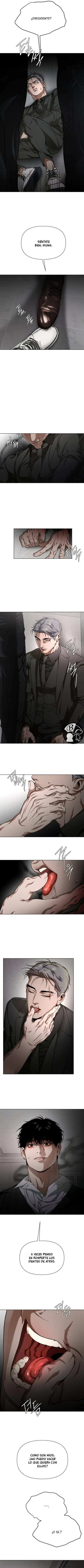 9 Recolector de cenizas