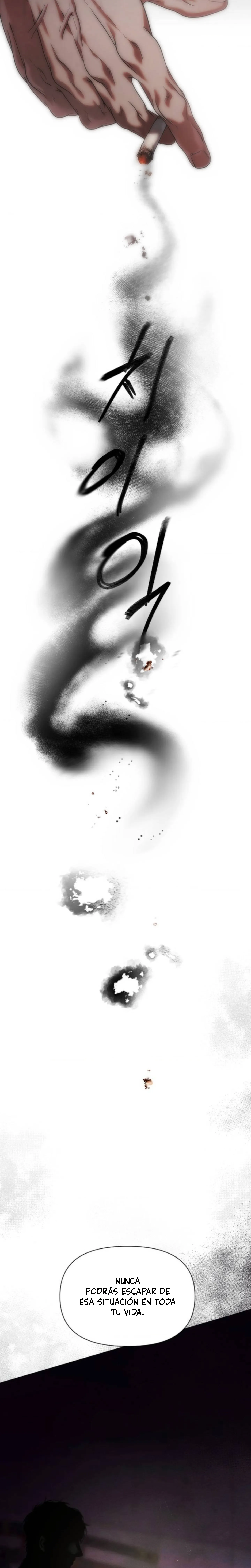 9 Recolector de cenizas