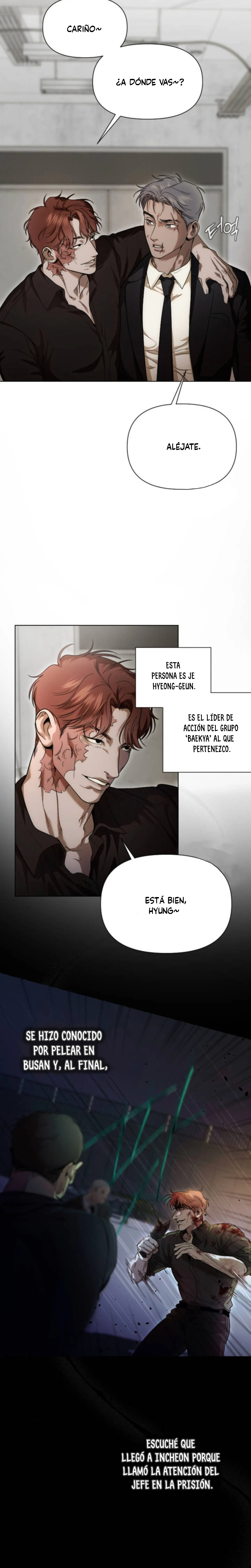 11 Recolector de cenizas