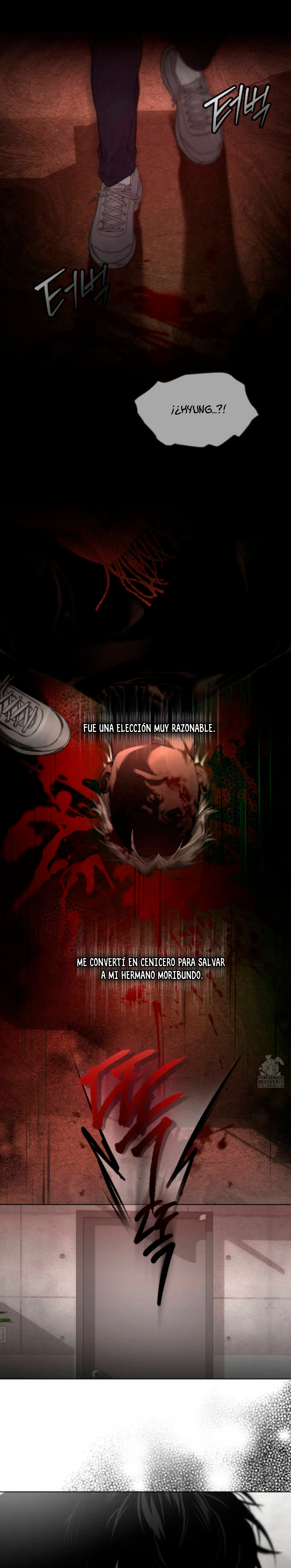 18 Recolector de cenizas