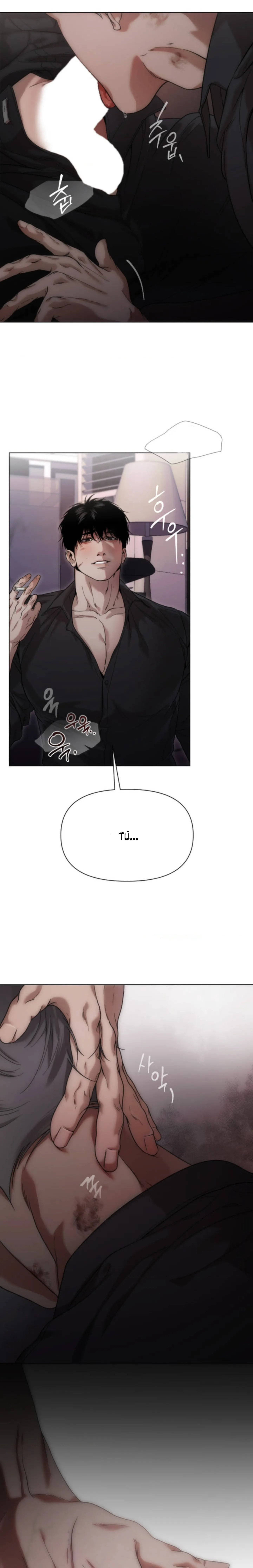 8 Recolector de cenizas