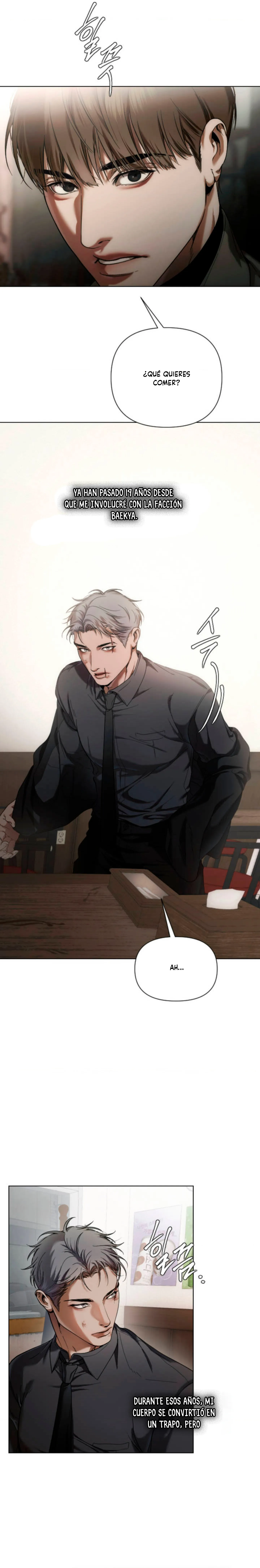 26 Recolector de cenizas