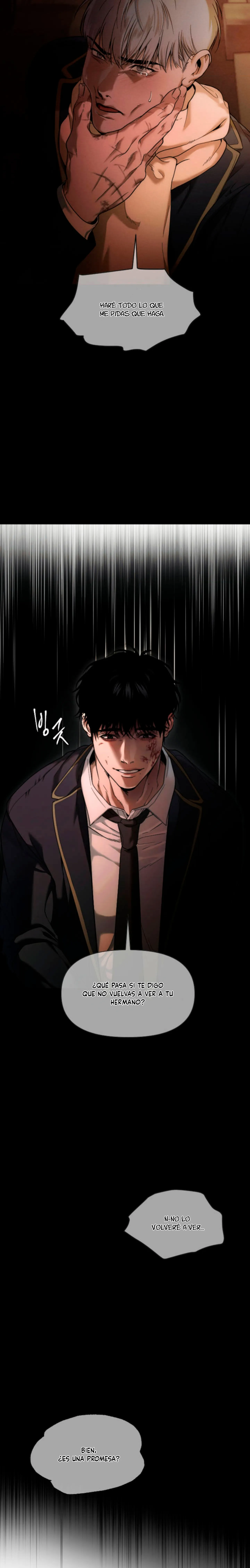 30 Recolector de cenizas