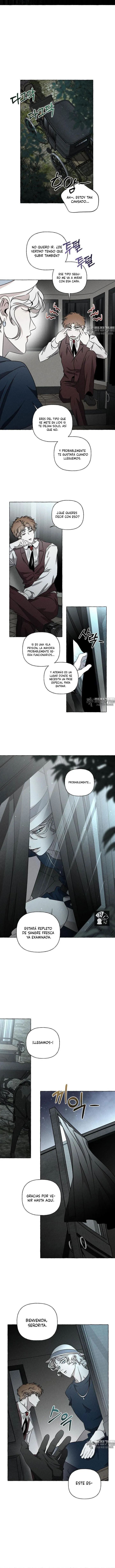 12 Huesos y pétalos