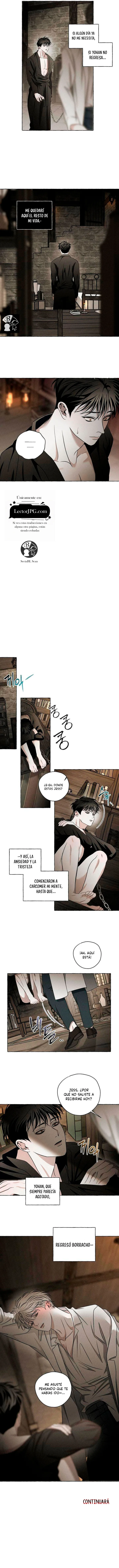 12 Huesos y pétalos