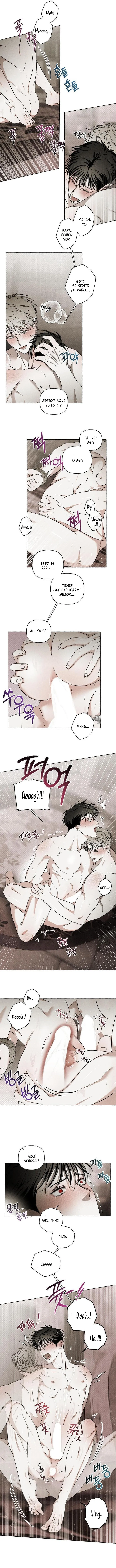 10 Huesos y pétalos