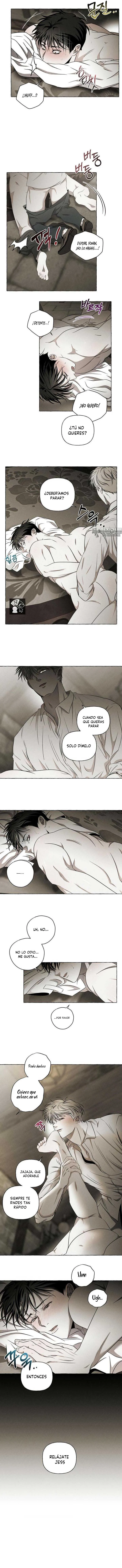 12 Huesos y pétalos