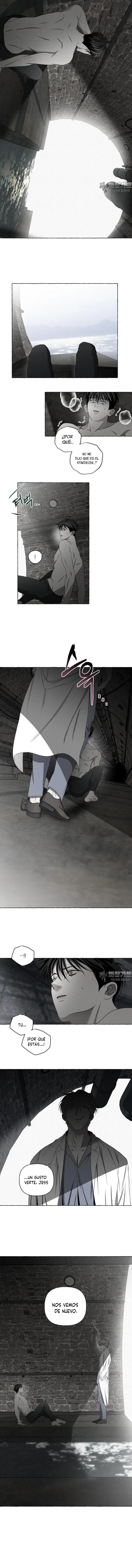 12 Huesos y pétalos