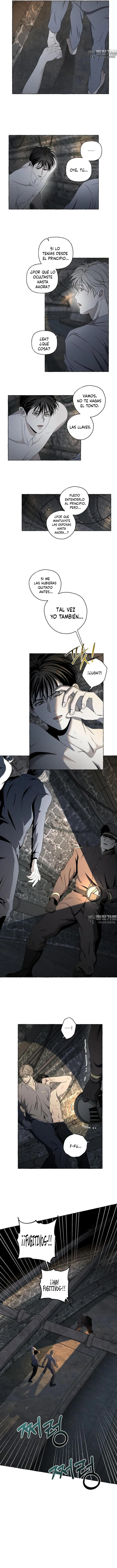 13 Huesos y pétalos