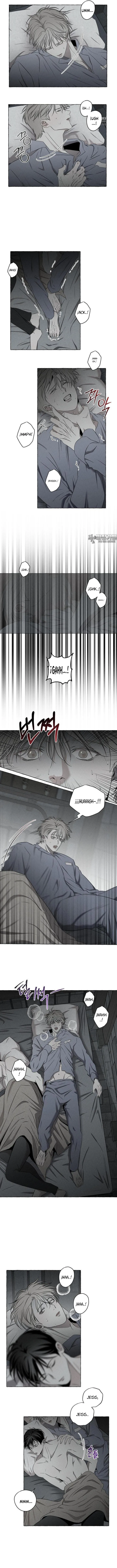 12 Huesos y pétalos