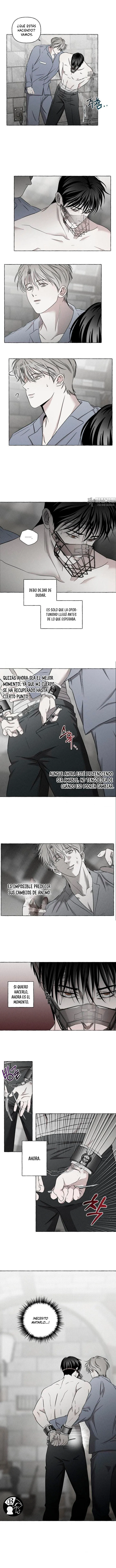 13 Huesos y pétalos