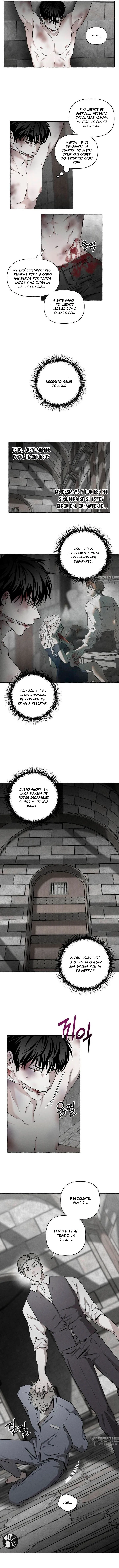 14 Huesos y pétalos