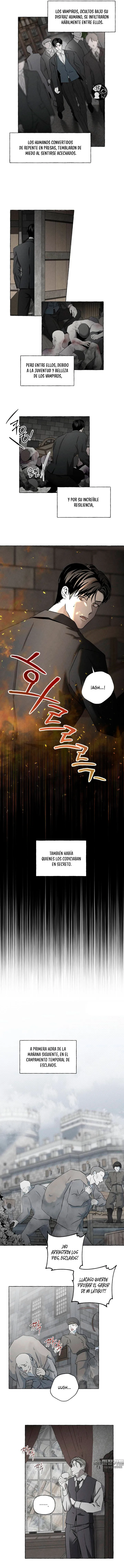 11 Huesos y pétalos