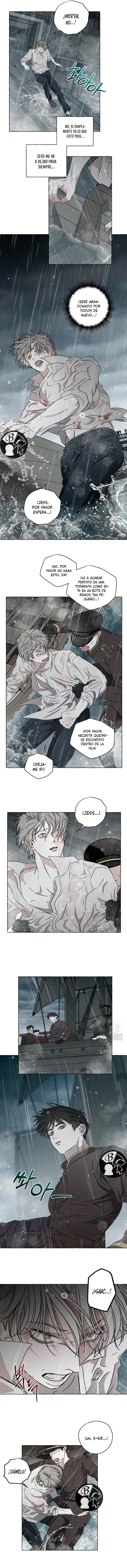 12 Huesos y pétalos