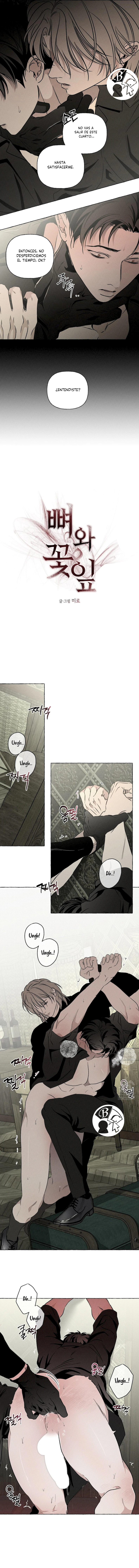 10 Huesos y pétalos