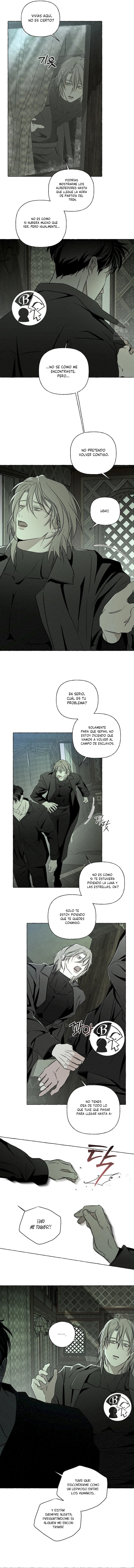 12 Huesos y pétalos