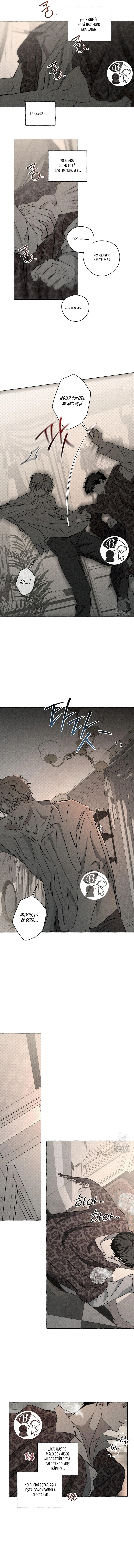 11 Huesos y pétalos