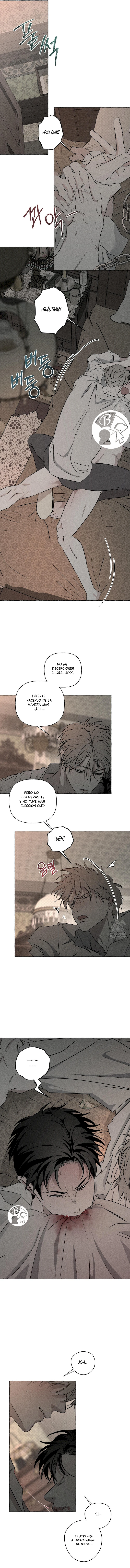 15 Huesos y pétalos