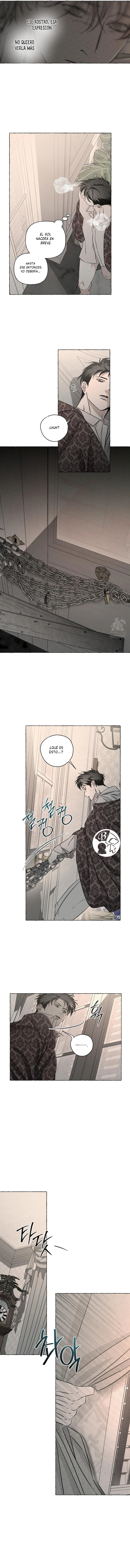 12 Huesos y pétalos