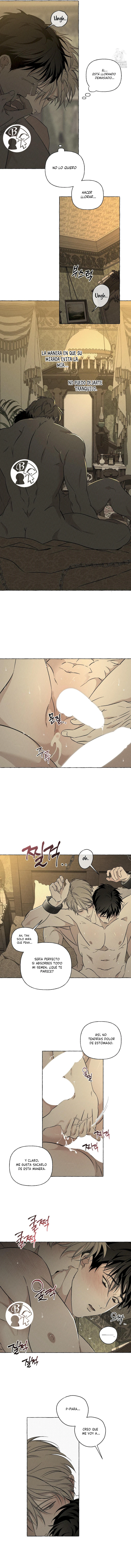 11 Huesos y pétalos