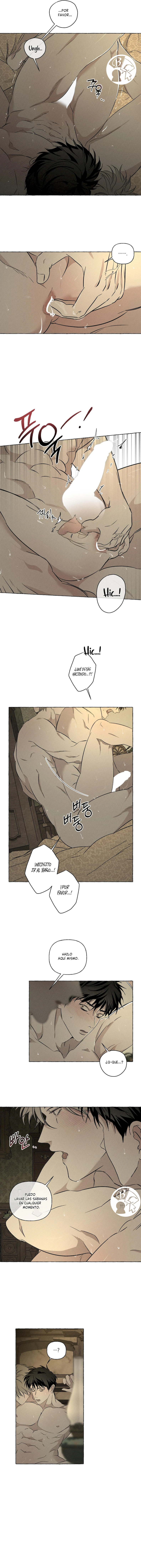 12 Huesos y pétalos