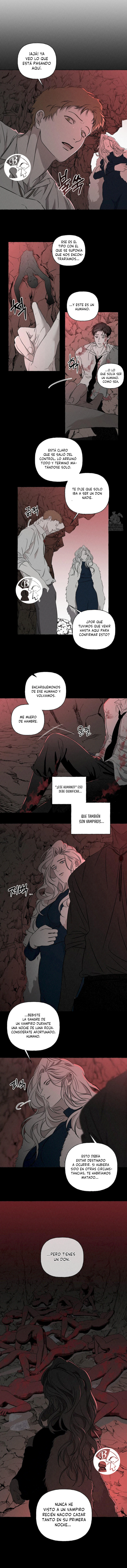 12 Huesos y pétalos