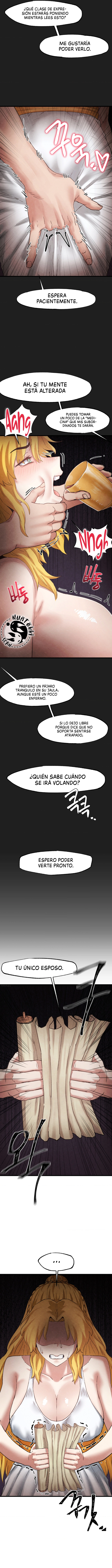 7 Instituto de Investigacion Sexual