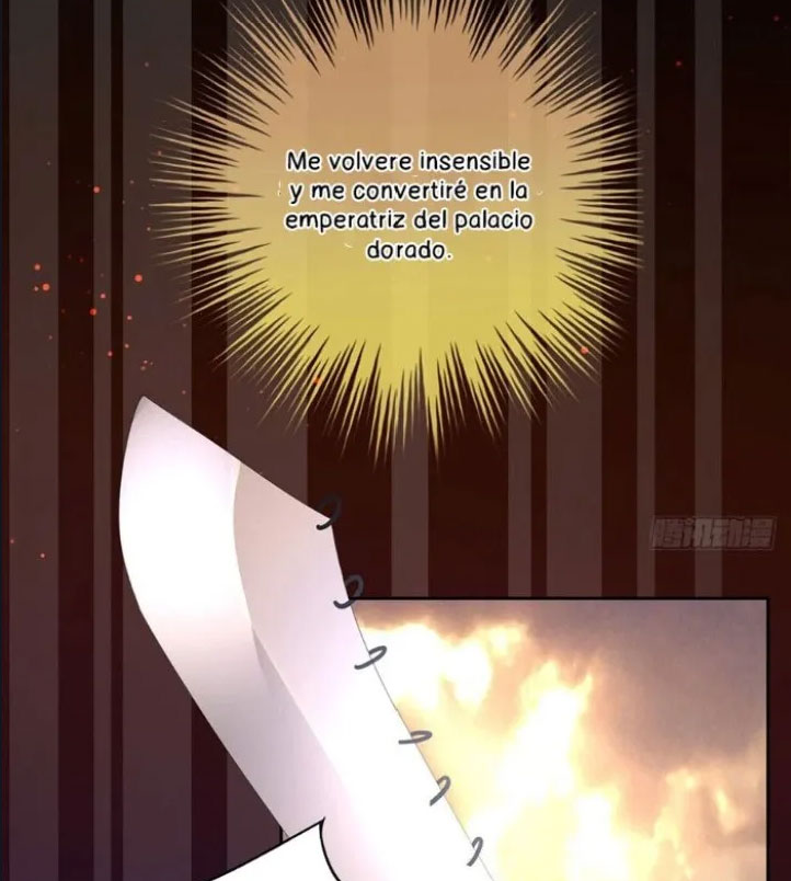 14 El harem de la emperatriz