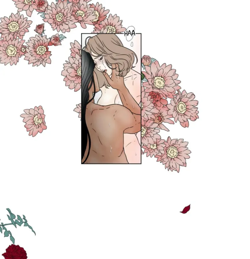 40 El harem de Chae-yi