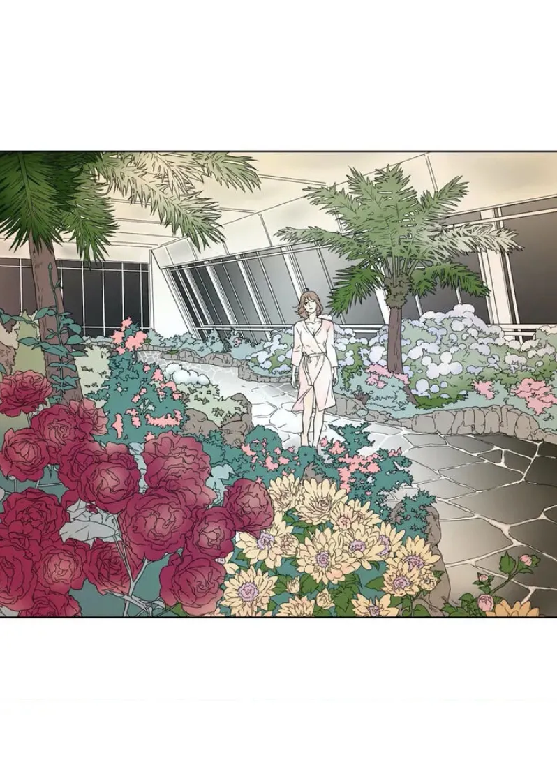 41 El harem de Chae-yi