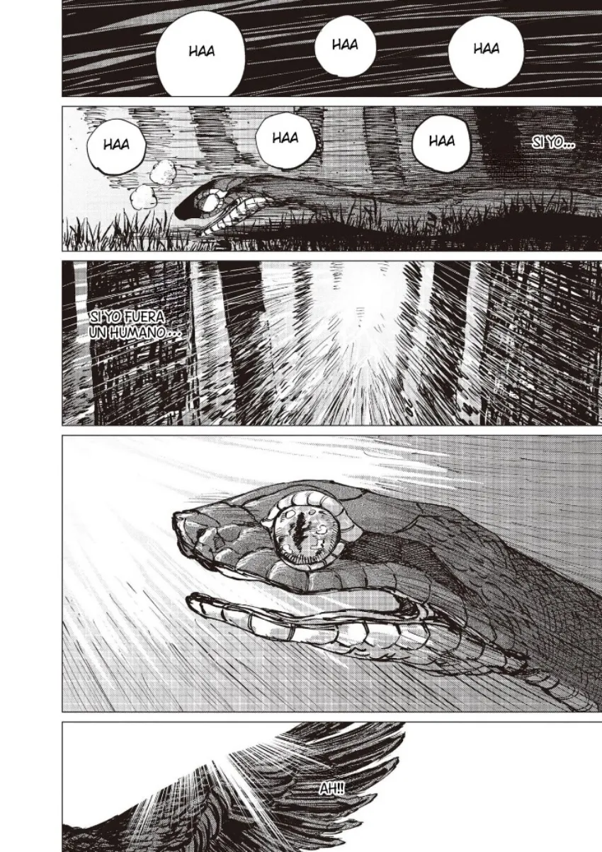 33 El señor de la montaña