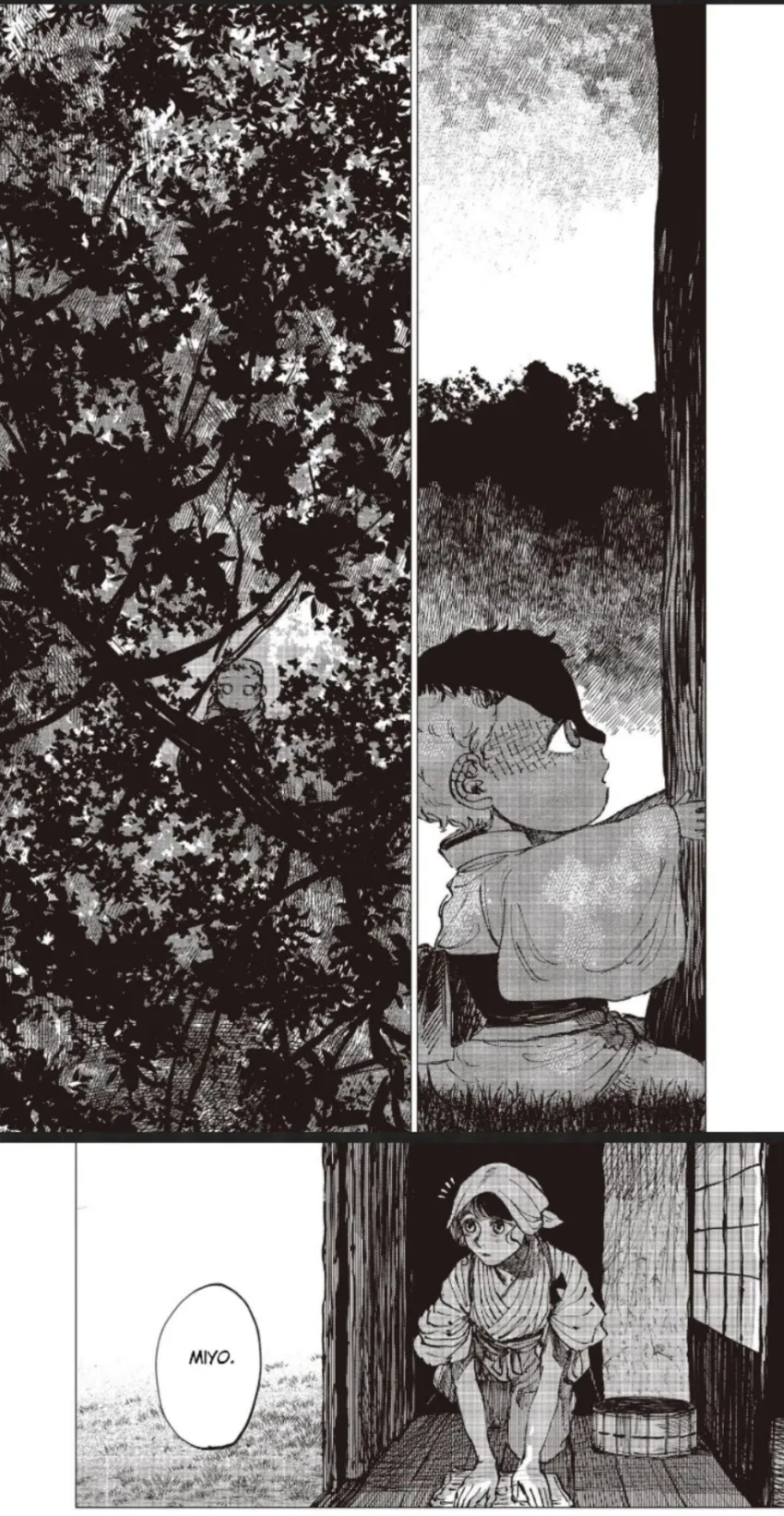 12 El señor de la montaña