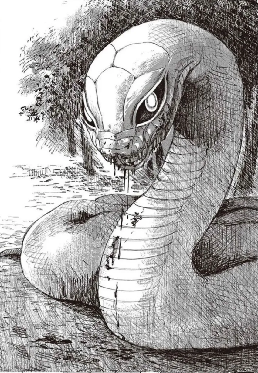 35 El señor de la montaña