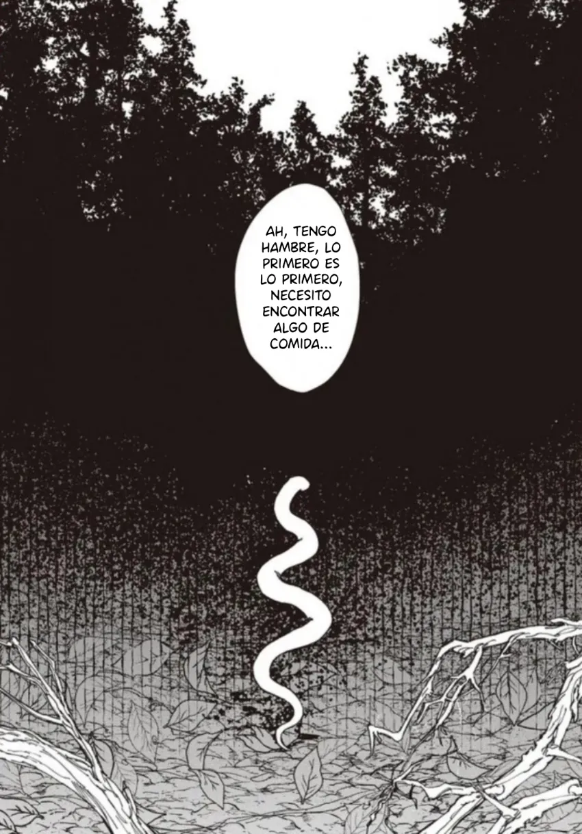 41 El señor de la montaña