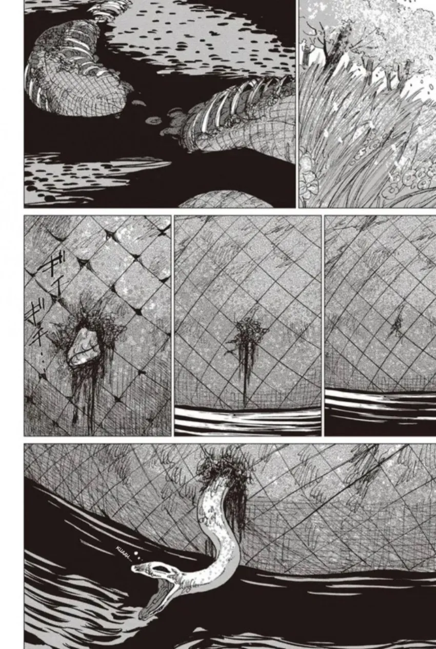 39 El señor de la montaña