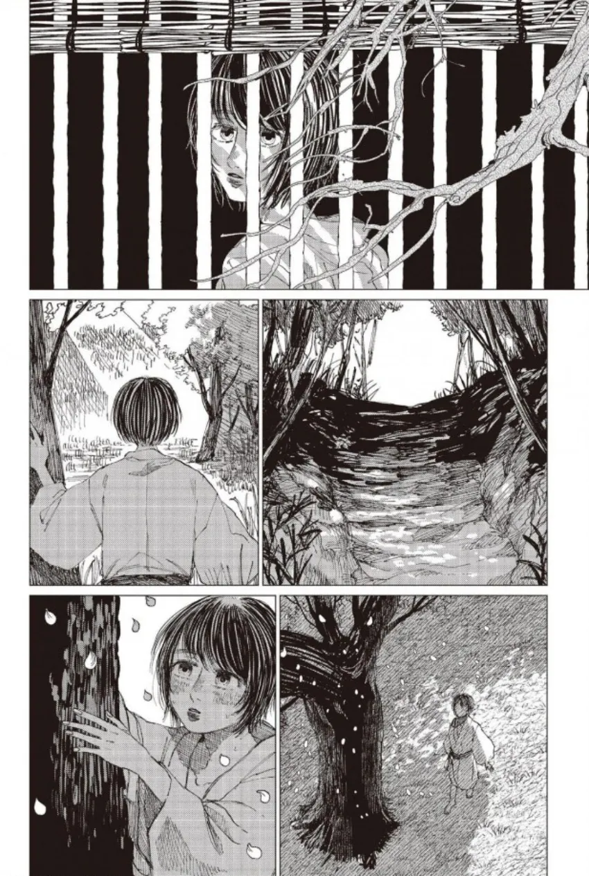 24 El señor de la montaña