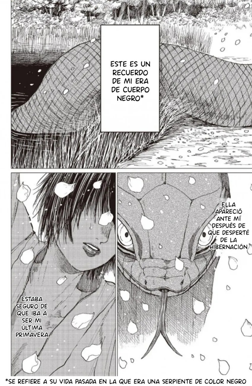 2 El señor de la montaña