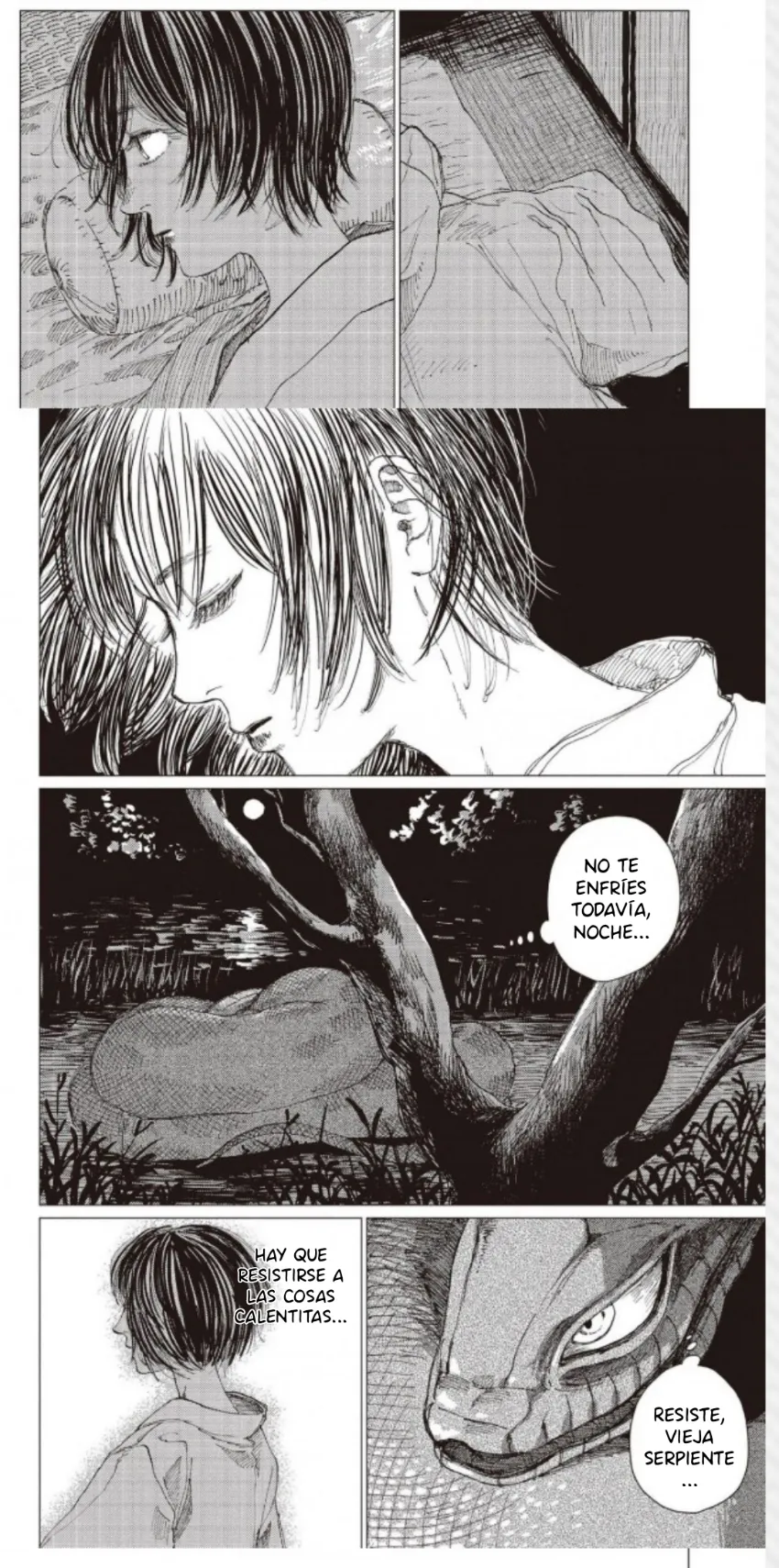 33 El señor de la montaña